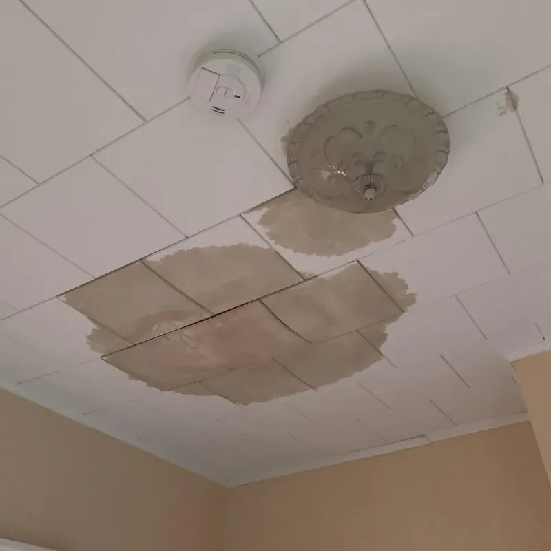 Ceiling Water Damage Repair in Concho County, TX