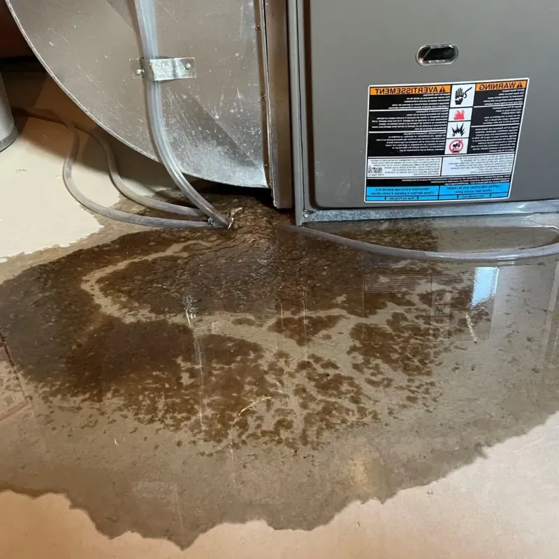 Pipe Burst and Leak Restoration in Concho County, TX