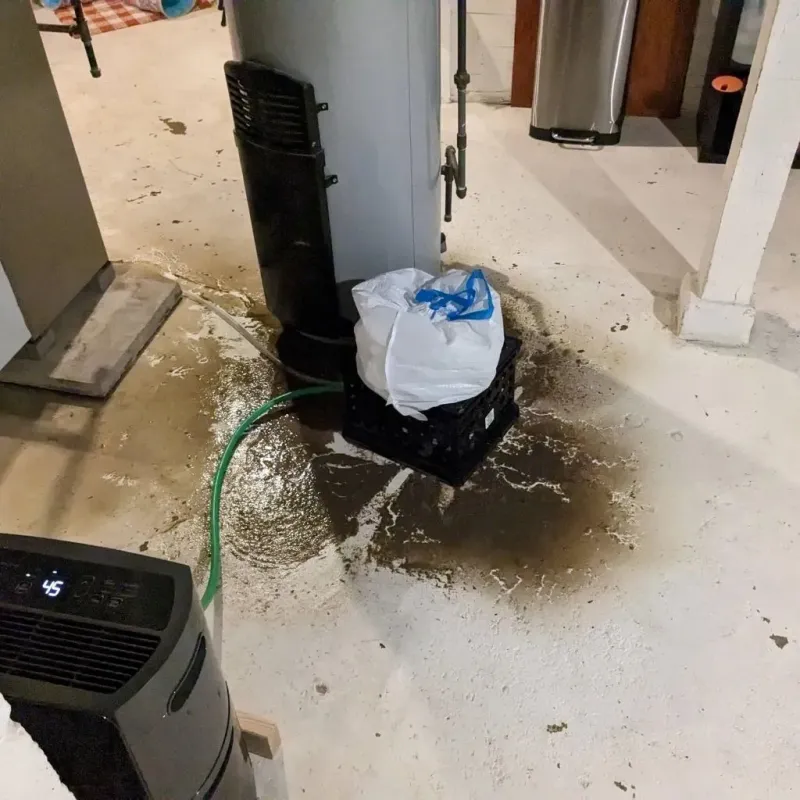Sewage Backup Cleanup Service in Concho County, TX